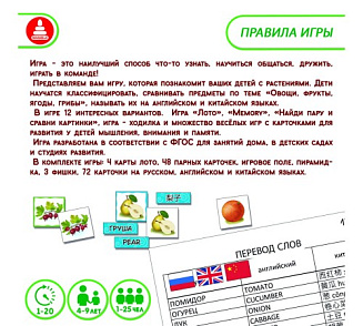 Игра "Найдите пары. Овощи, фрукты, ягоды, грибы" – портал поставщиков НСППО - 3